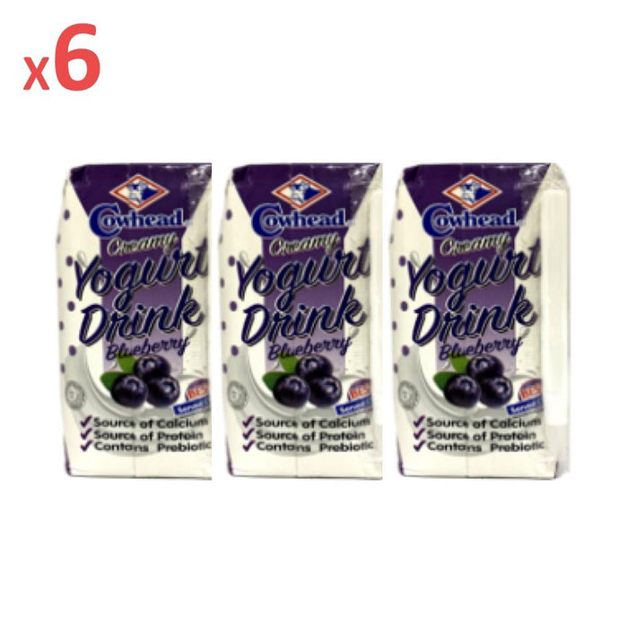 Cowhead Yogurt Drink Blueberry 200ml x 6-Beverages-Primo Food Supplies